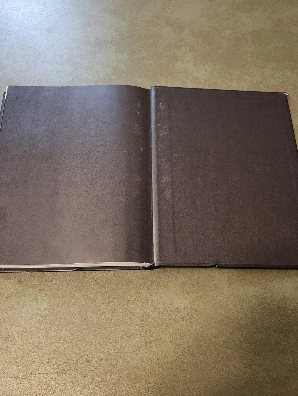 Call of Duty: Ghosts Limited Edition Strategy Guide - Black & White Skull Cover